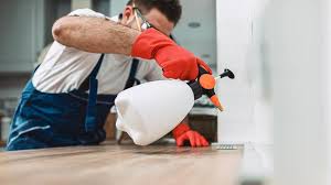 Best Pest Prevention Services  in Cliffwood Beach, NJ