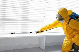 Best Fumigation Services  in Cliffwood Beach, NJ